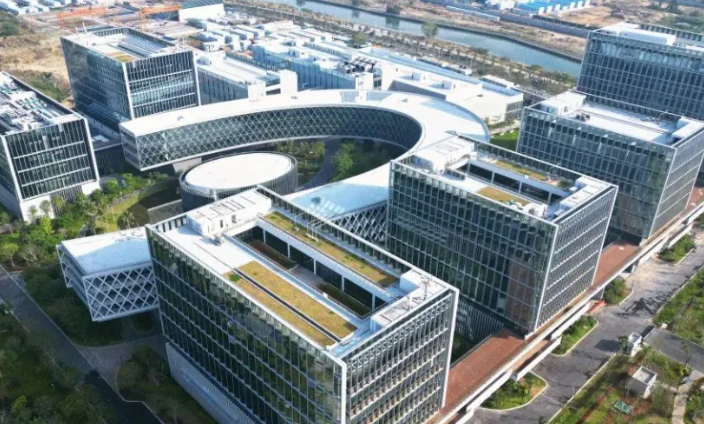 企业网站建设与小程序定制：合肥石皮网络科技一站式服务解析
